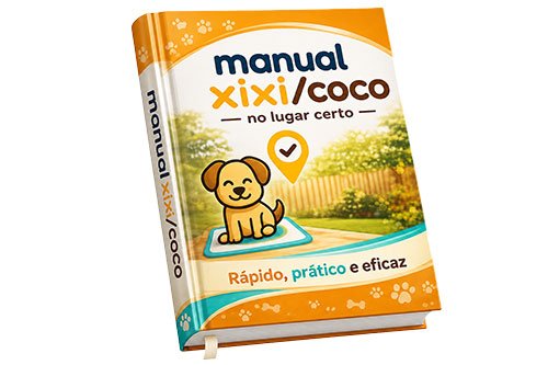 Mockup do Manual Xixi no Lugar Certo